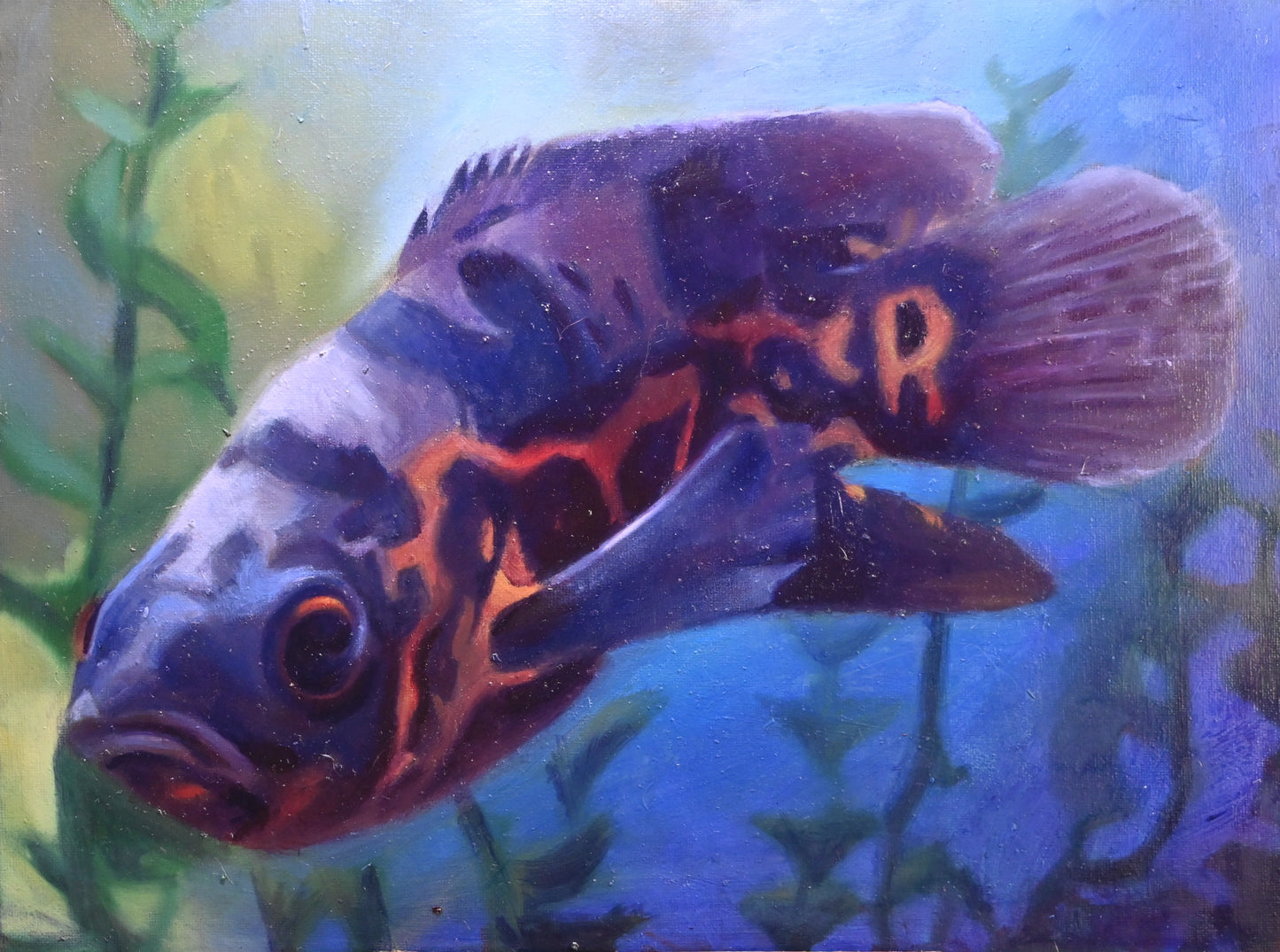 Wandering Fish