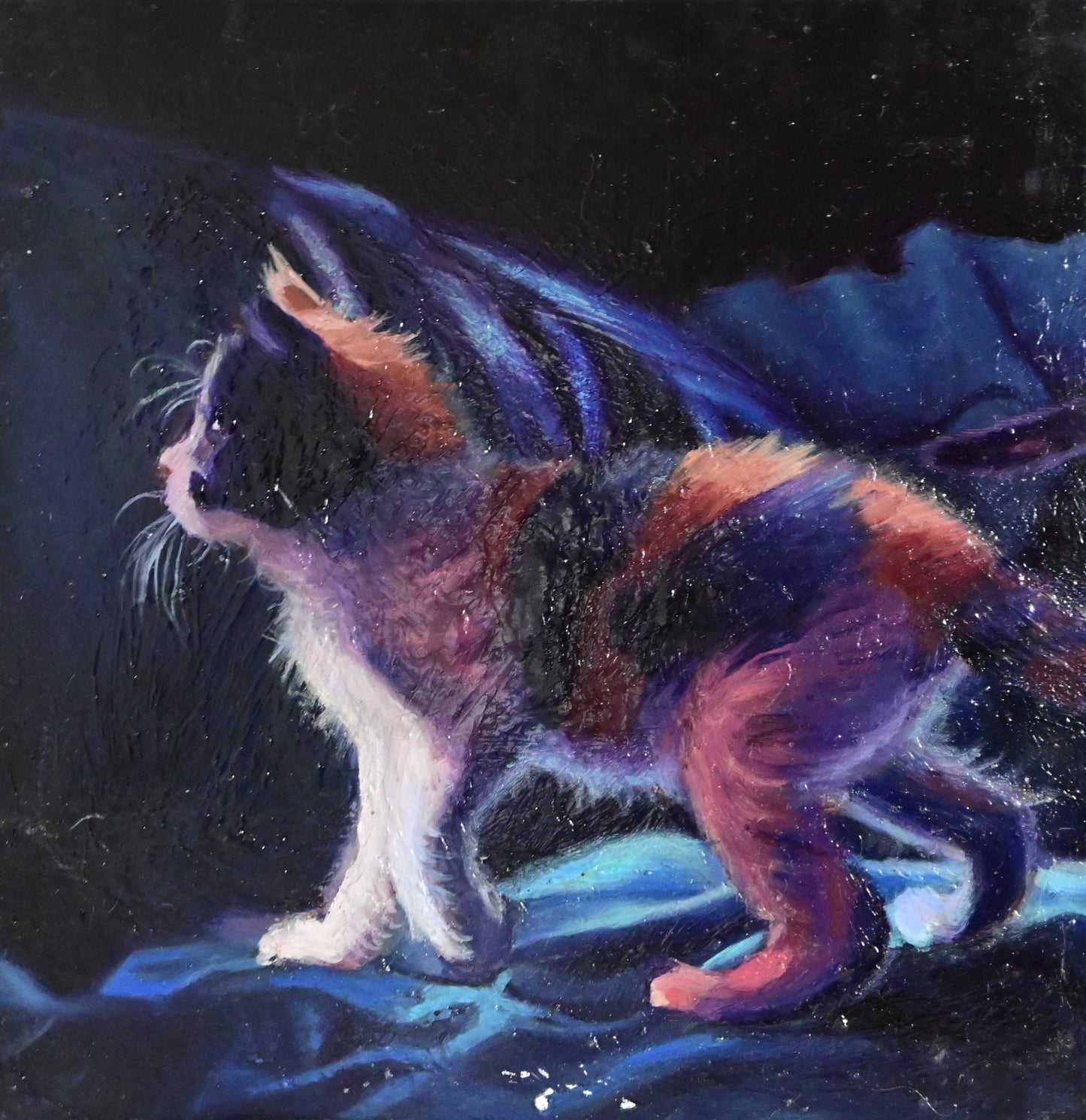 Kitten Still Life