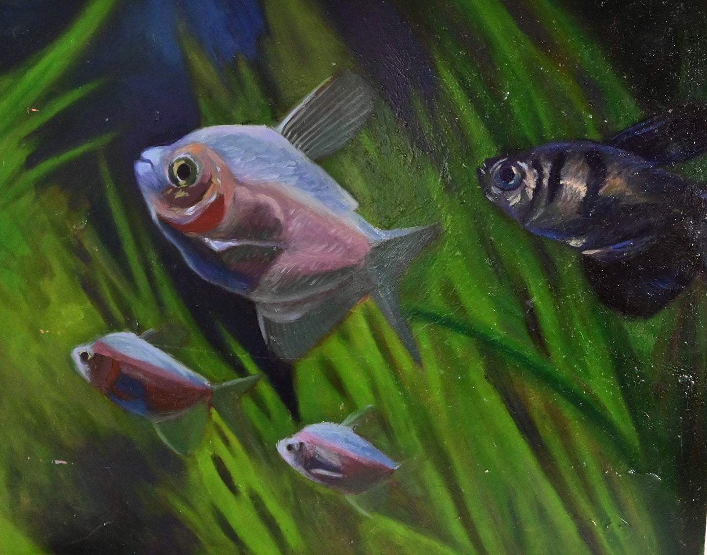 Four Fish Wildlife Painting