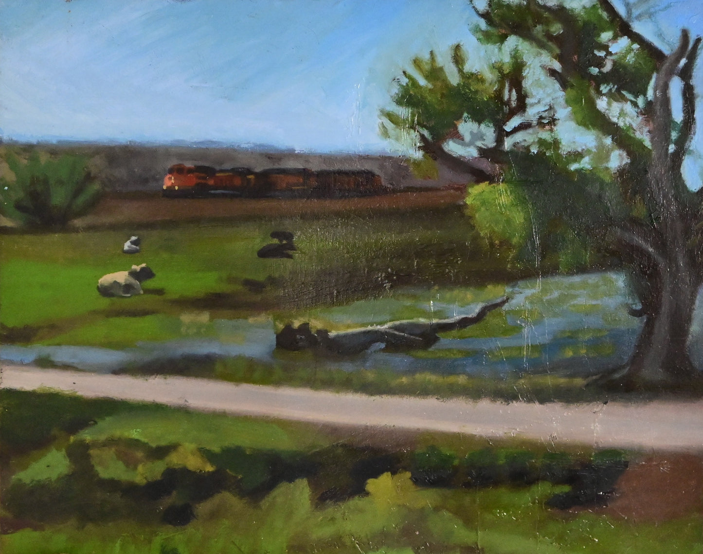 Field Landscape
