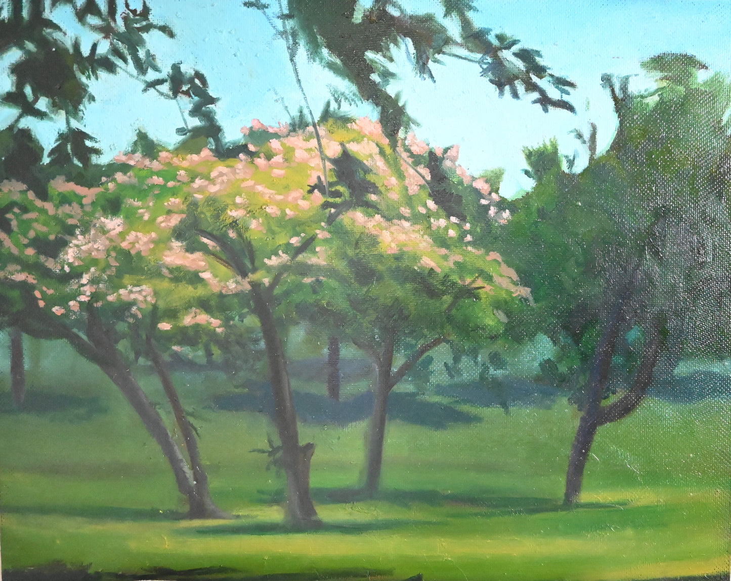 Park Landscape